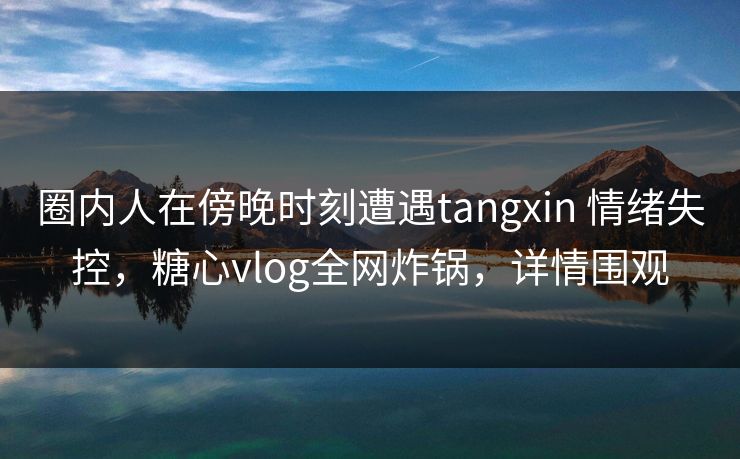 圈内人在傍晚时刻遭遇tangxin 情绪失控，糖心vlog全网炸锅，详情围观