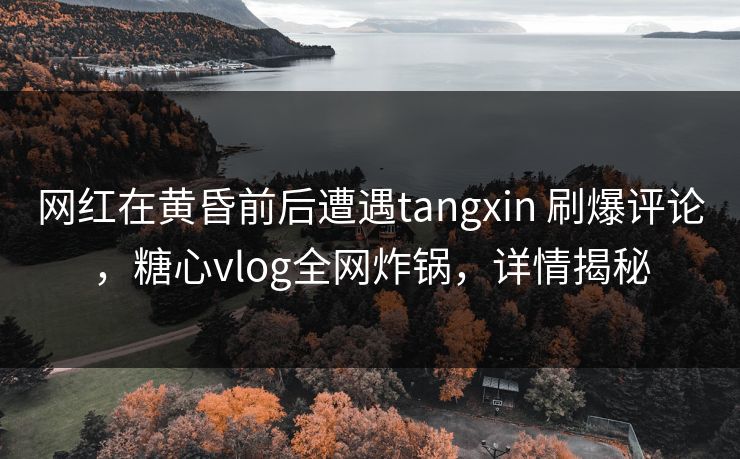 网红在黄昏前后遭遇tangxin 刷爆评论，糖心vlog全网炸锅，详情揭秘