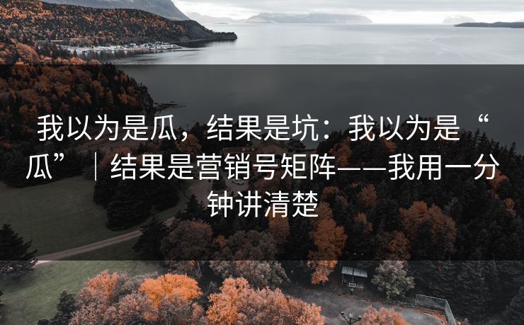 我以为是瓜，结果是坑：我以为是“瓜”｜结果是营销号矩阵——我用一分钟讲清楚